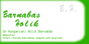 barnabas holik business card