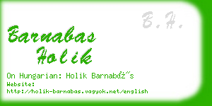 barnabas holik business card